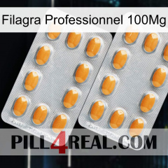 Filagra Professional 100Mg cialis4